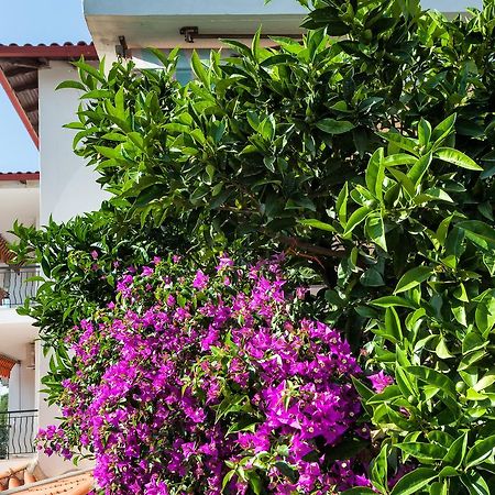 Xenios Loutra Village Mary'S House 아기아 파라스케비 외부 사진