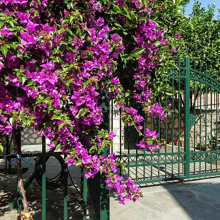 Xenios Loutra Village Mary'S House 아기아 파라스케비 외부 사진